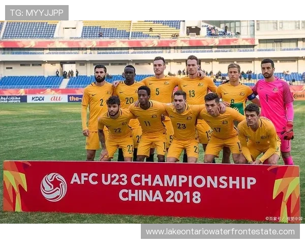 匈牙利主帅回应外界期待称我们不具备创造奇迹的能力和葡萄牙深厚阵容