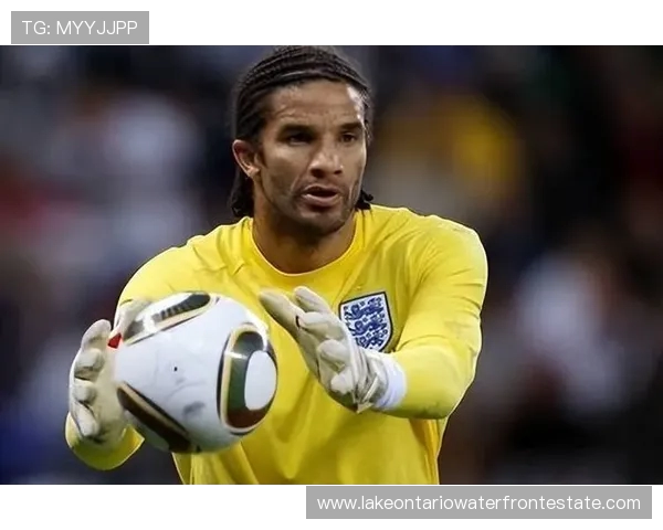 自英超首度亮相至今 拉亚54次零封超越所有门将创纪录