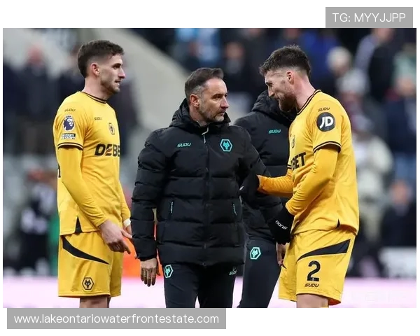 英超十轮难求一胜狼队主帅佩雷拉惨遭解雇球队陷入深度危机