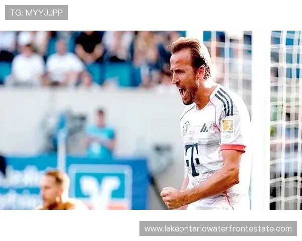 主裁坚信凯恩进球有效并称德甲对抗属正常现象